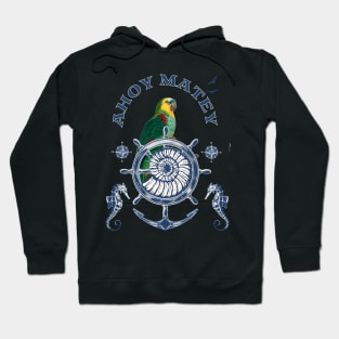 Ahoy Hoodie